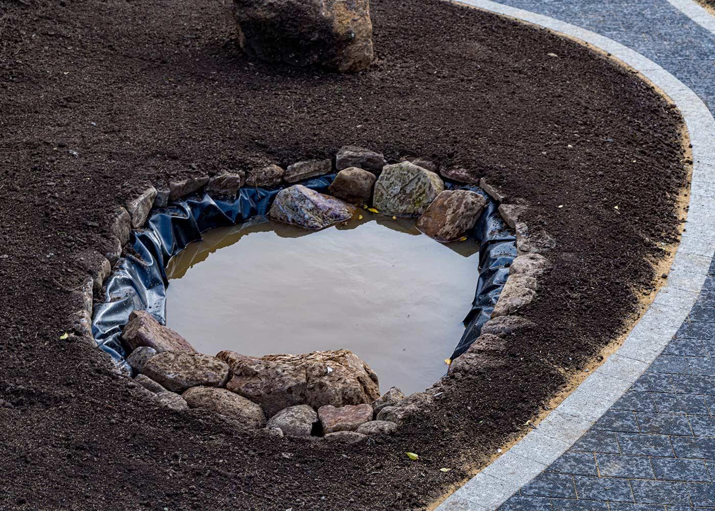 garden-pond